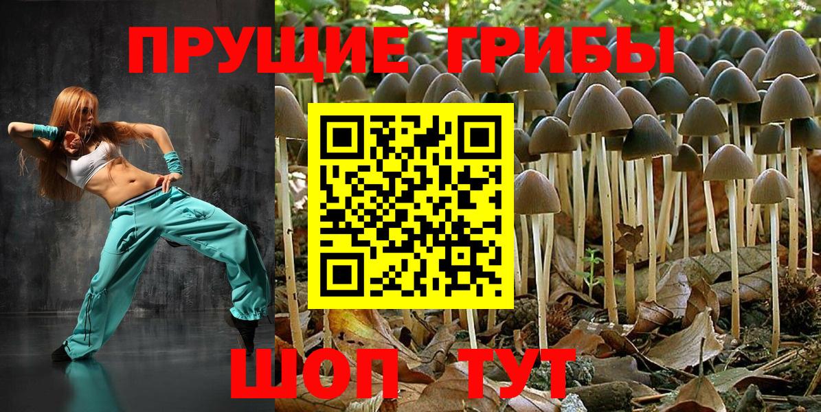 Галлюциногенные грибы мицелий  Вход с VPN  Уварово  Псилоцибиновые грибы мухоморы 
